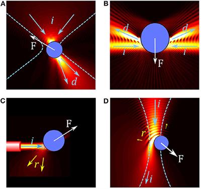 Optical Tweezers Exploring Neuroscience